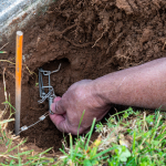 mole trap